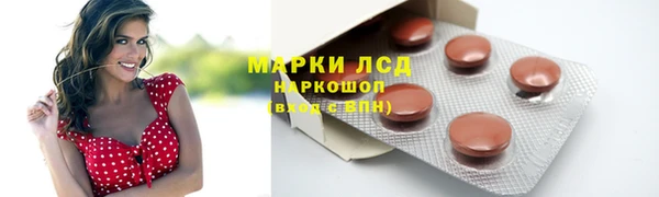 спиды Богданович