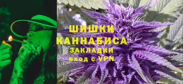 спиды Богданович