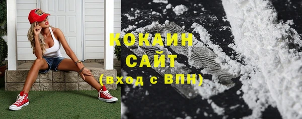 спиды Богданович