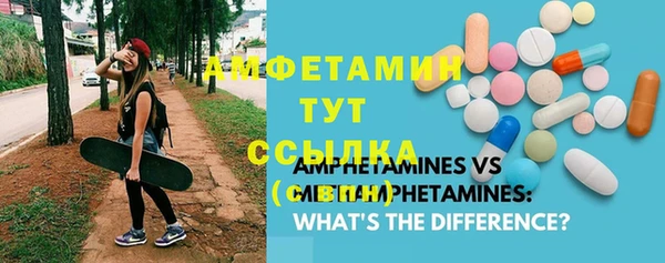спиды Богданович