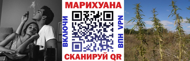 даркнет сайт  Медвежьегорск  ОМГ ОМГ онион  Бошки Шишки семена 